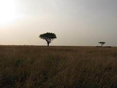 Tanzania - April 2012