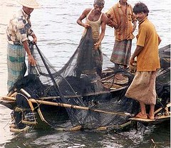 孟加拉的漁民 (USAID提供)