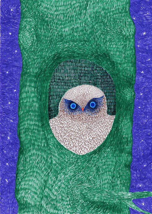 dmitry-owl6