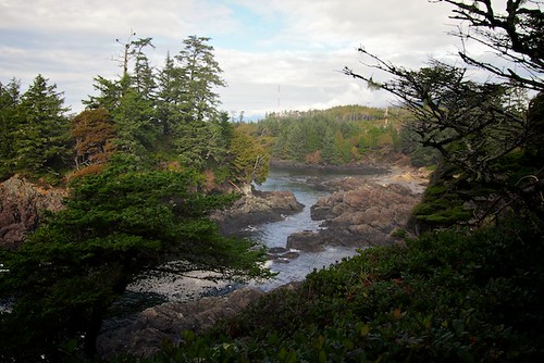 Wild Pacific Trail, Ucluelet