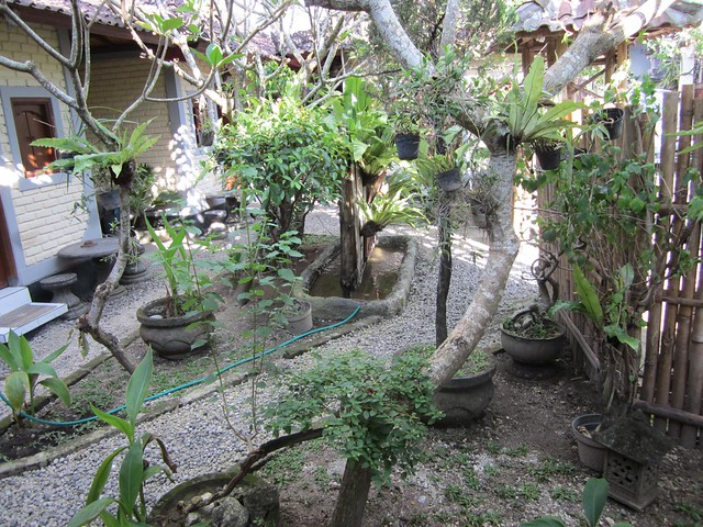 dana courtyard