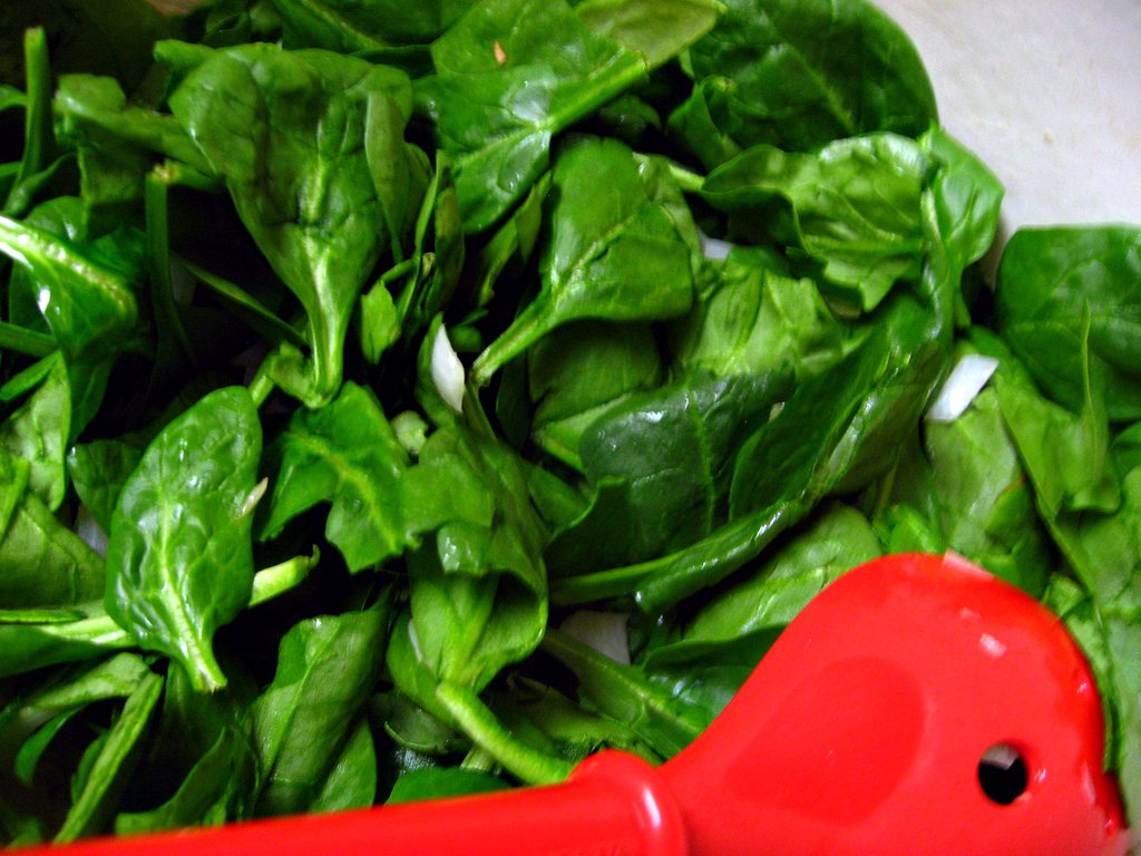 spinach prior to wilting