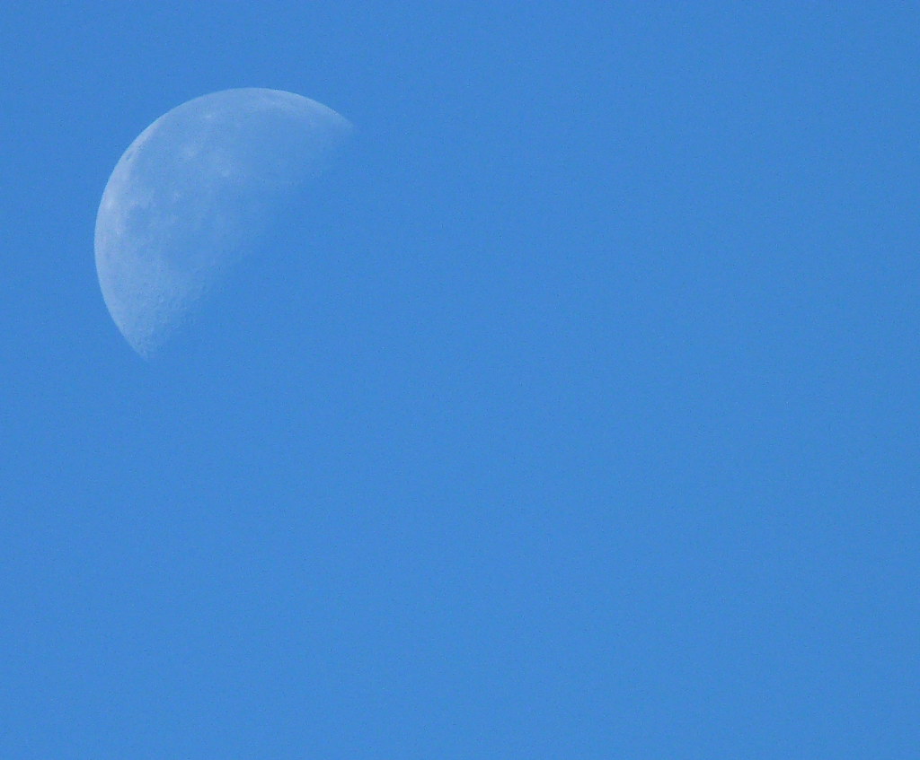 13-04-2012-morning-moon