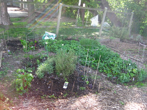 Garden Plot, April 29