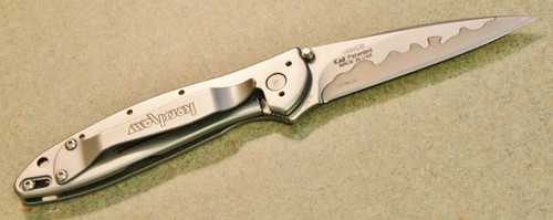 Kershaw Ken Onion Leek Assisted 3" Composite D2 Plain Blade, Stainless Steel Handles