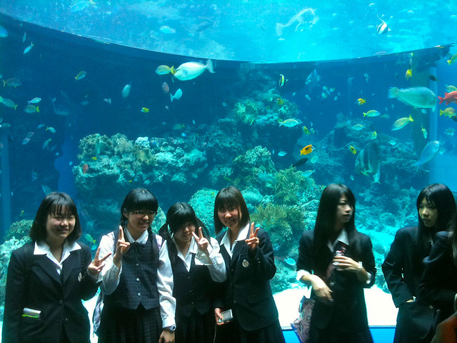 Schoolgirls at Churaumi Aquarium, Okinawa