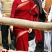 Sonia Gandhi and Priyanka campaign together (19)
