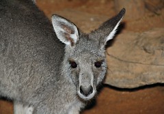 2014: Sydney Wildlife World