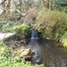 The National Botanic Garden of Wales - March 2012