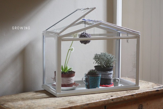 ikea mini greenhouse