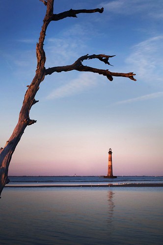 Tree Lighthouse by erickpineda527