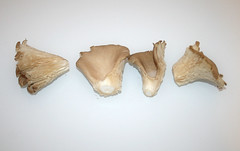 05 - Zutat Austernpilze / Ingredient oyster mushrooms