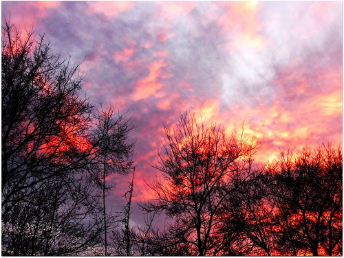 ~ Fire in the Sky ~ by Purpletree..(Nancy Lee)