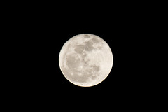 moon-3049