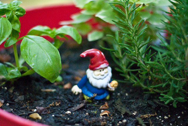 My Garden Gnome