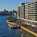 Life on Sydney Harbour Foreshores