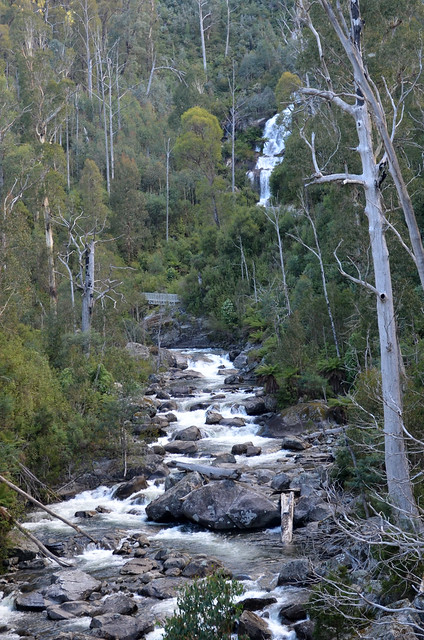 Kiewa River (with Fainter Falls in the distance) - Alpine National Park