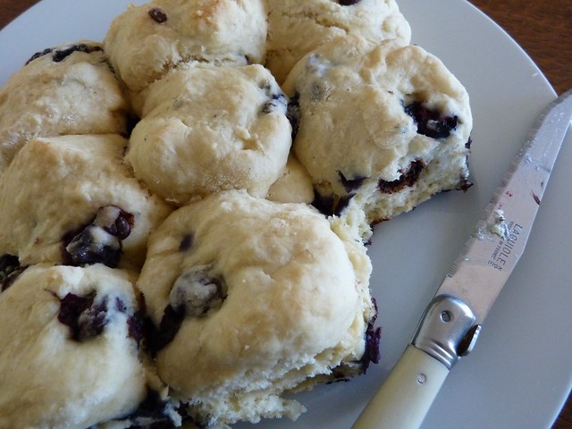 blueberry and choc chip scones