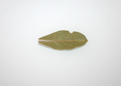 09 - Zutat Lorbeerblatt / Ingredient bay leaf