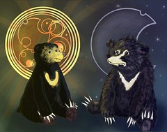 圖四：moon and sun bears