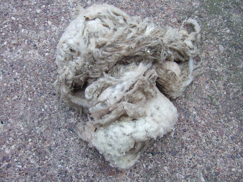 small shetland fleece