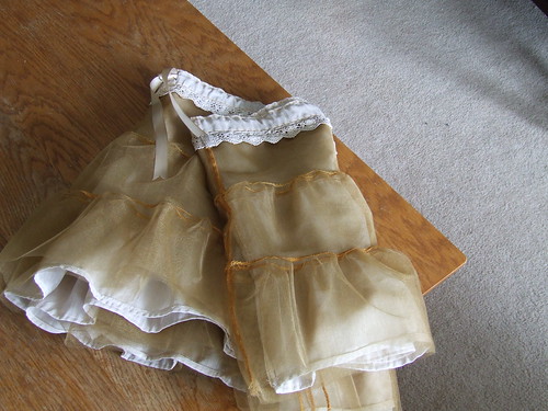 Steampunk Petticoat