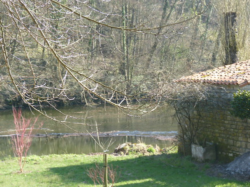 Le long de la rivière "Vendée" à Pissotte