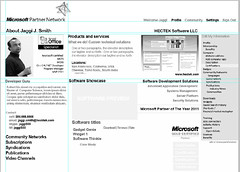 Microsoft Partner Network wireframes design for 2010