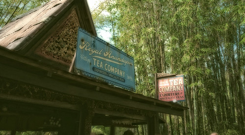 Royal Anandapur Tea Company by DisHippy