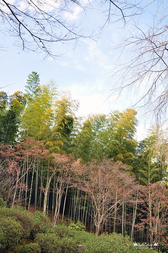 Arashiyama 嵐山 - 19