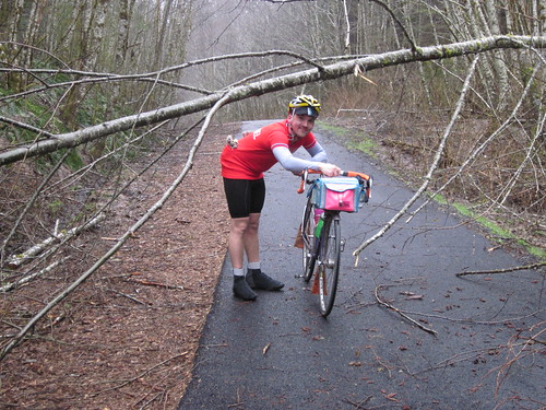 Downed trees on the Banks Vernonia Trail