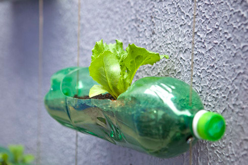 Faça uma horta de parede com garrafas PET
