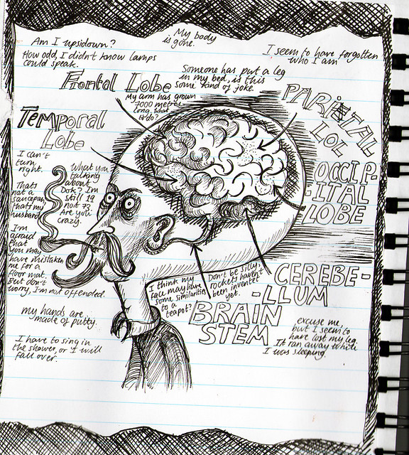 The neurologist's brain