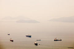 2012.2.26 urban-landscape - Hong Kong in tilt world