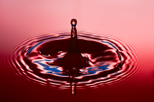 Red Drop  by petetaylor