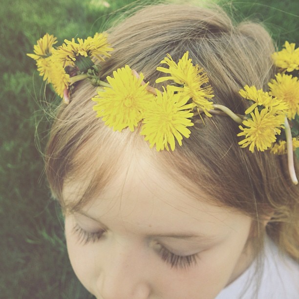 My Sunday...dandelion crowns and sunshine. #fmsphotoaday #mysunday #dandelion #flower #crown #spring #childhood
