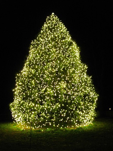the christmas tree