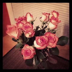 Just because flowers.  My man's pretty amazing. @midblock17