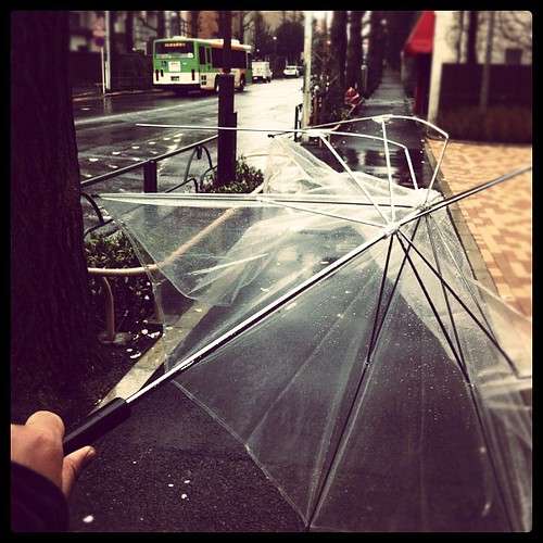 Massive #storm came over #Japan. My #umbrella became a casualty.