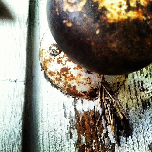 That thing made of pine needles or splinter beneath the doorknob is a tiny cocoon. Consider this a self portrait.