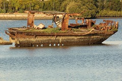 SS Ayrfield wreck Homebush Bay