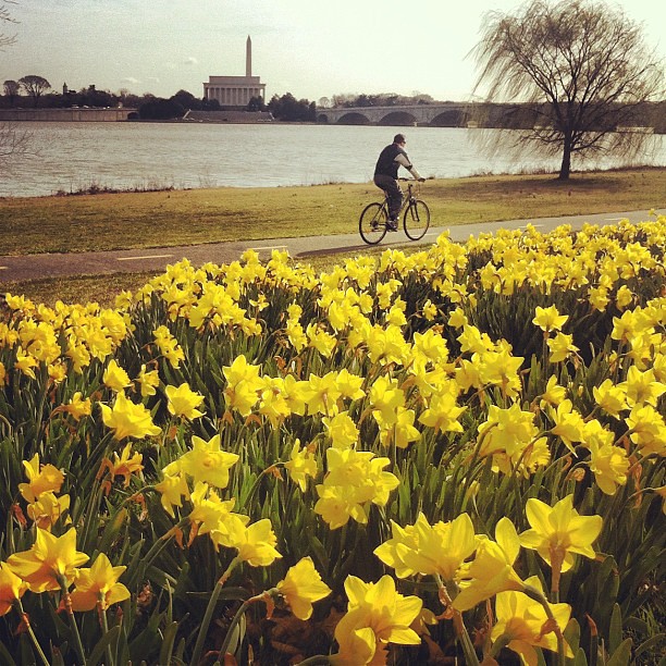 biker along Potomac