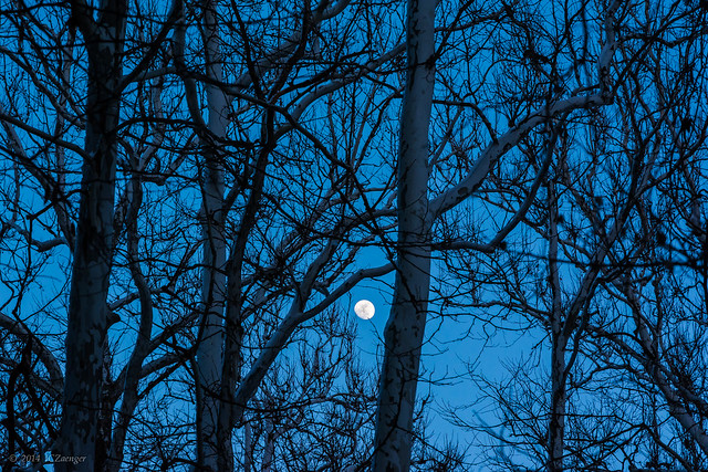 Moonrise Blue 2