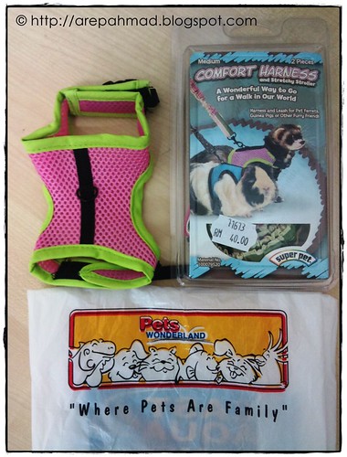 Harness for Prairie Dog