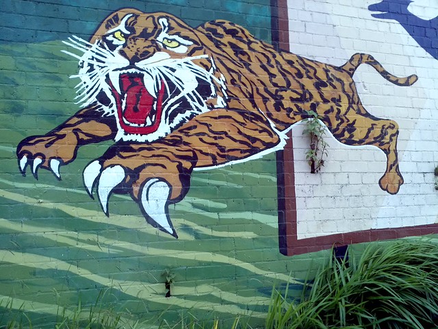 Leichhardt Tiger - Sydney Street Art