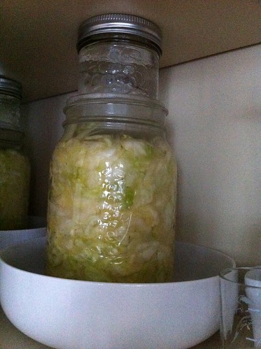 Hiding cabbage