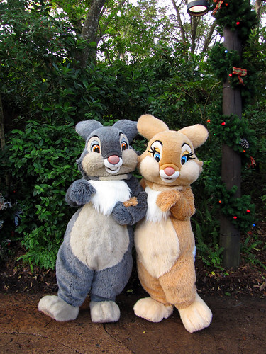 Thumper and Miss Bunny