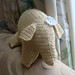 Primrose elephant 2