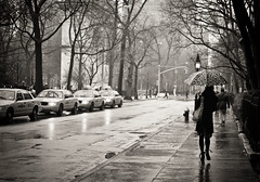 Slick With Promise -Rain - Greenwich Village - New York City