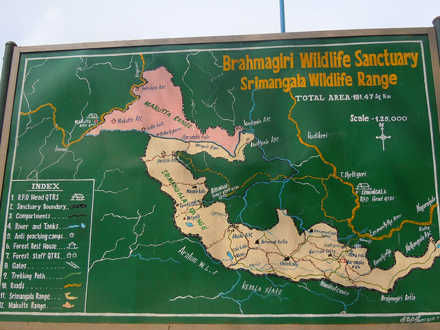 Brahmagiri_Trek_Brahmagiri_Wildlife_Sanctuary